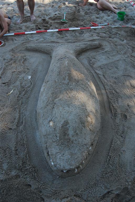 Piaskownica 2008