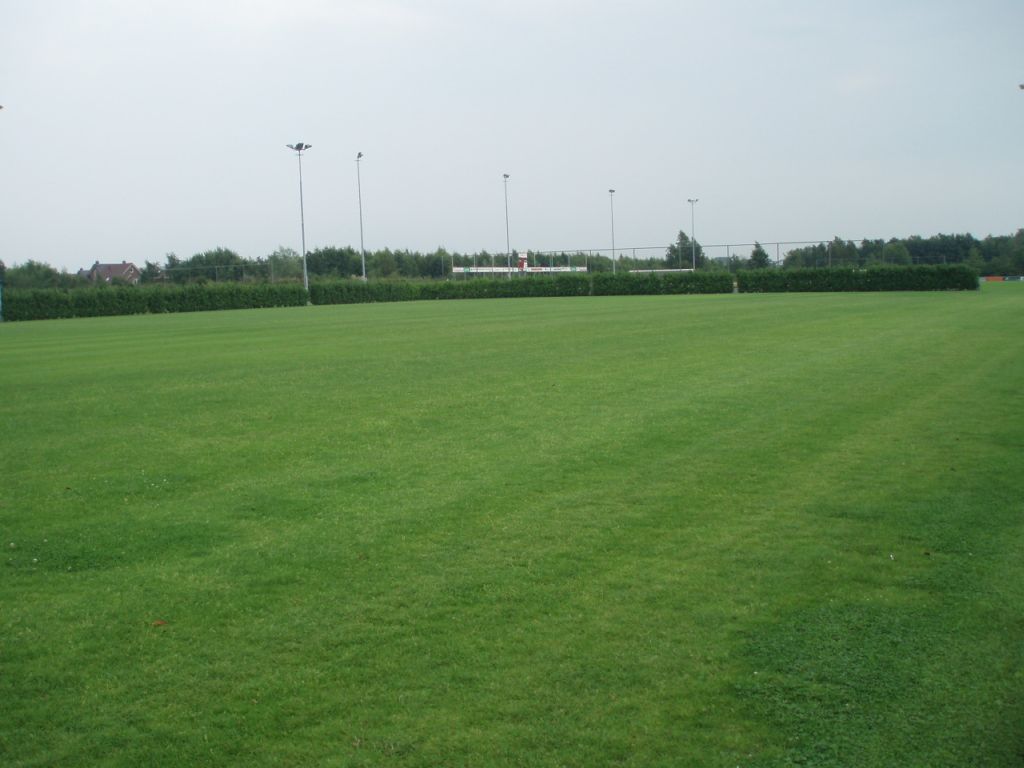 Pedryc na stażu w Heerenveen