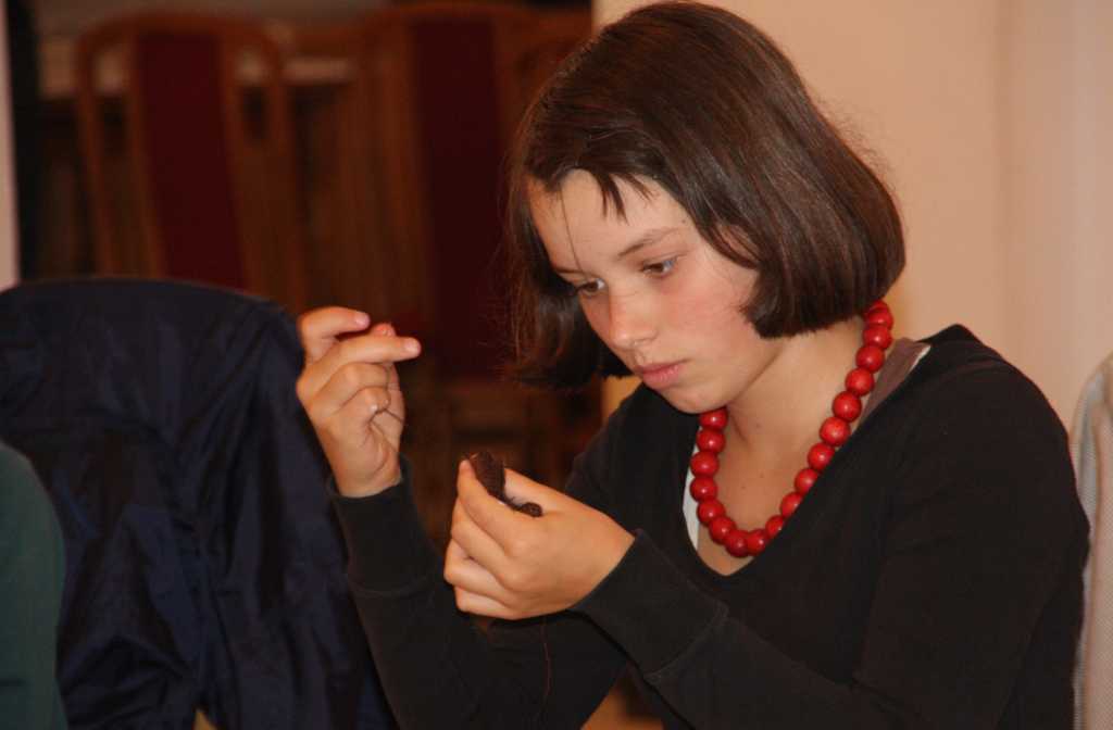 Letnia Akademia Filmowa