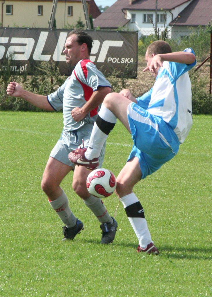 Dąb Siedliska - Zakaczawie Legnica