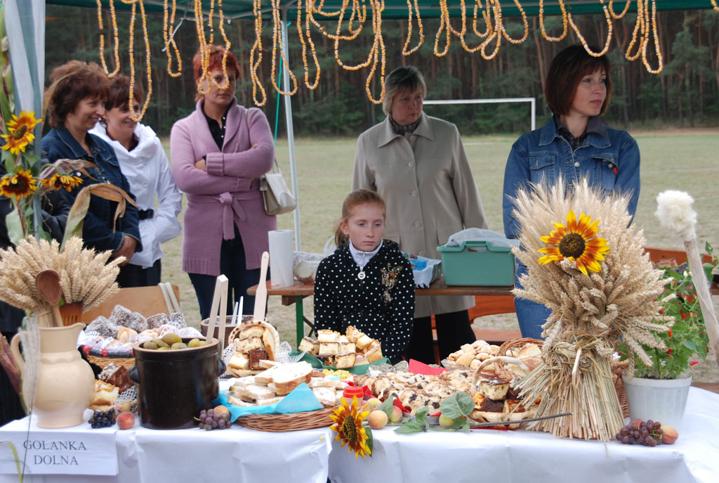 Dożynki gminne - Prochowice 2008