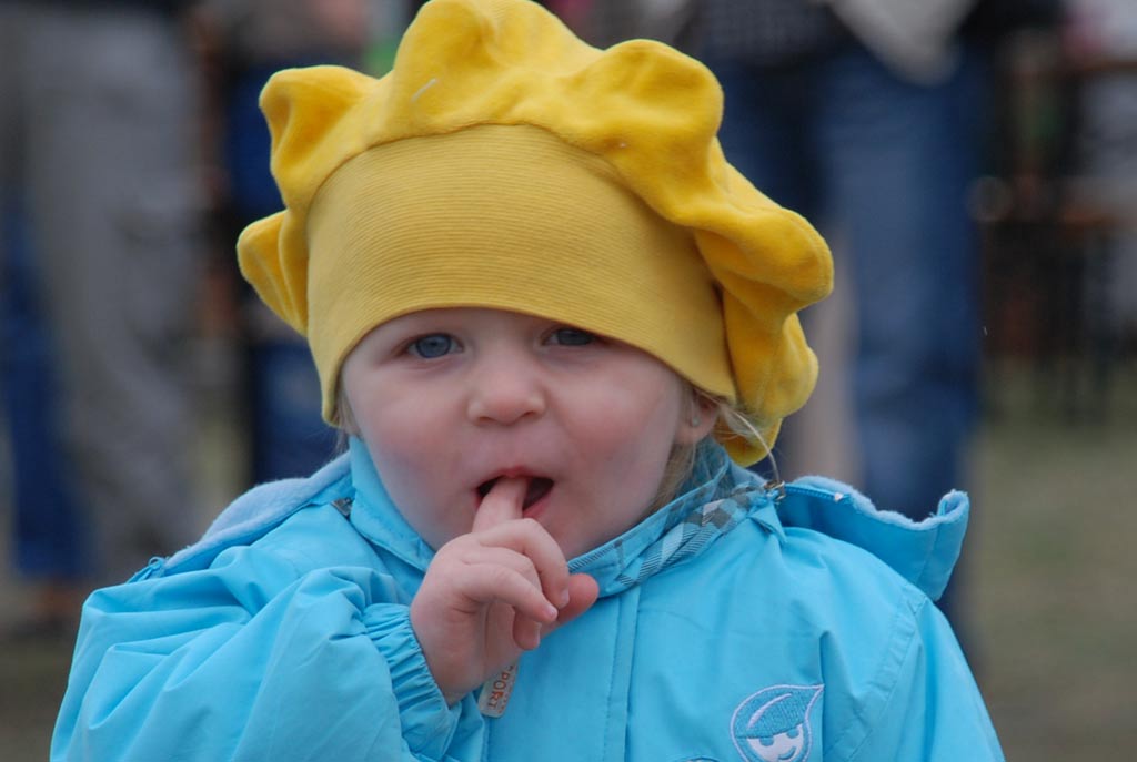 Dożynki gminne - Prochowice 2008