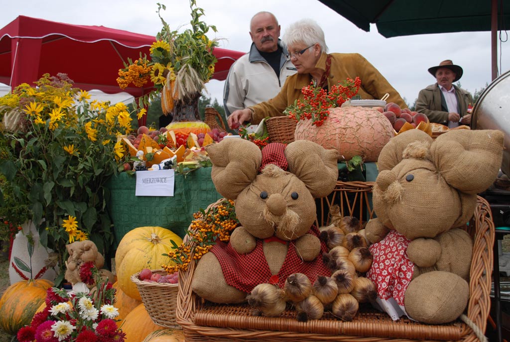 Dożynki gminne - Prochowice 2008