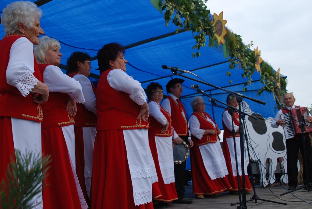 Dożynki gminne - Prochowice 2008