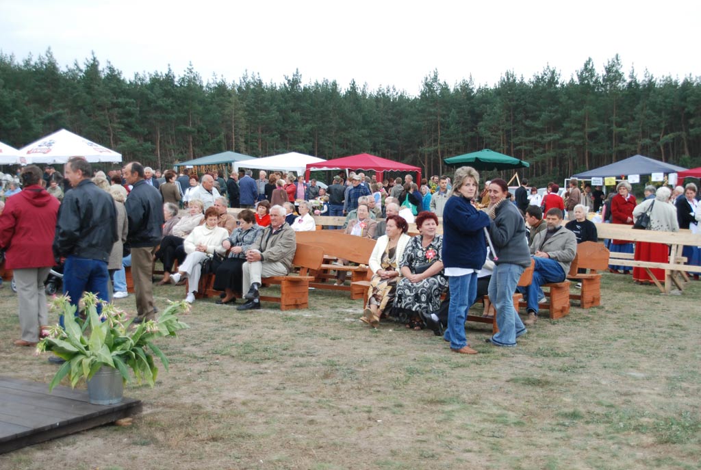 Dożynki gminne - Prochowice 2008