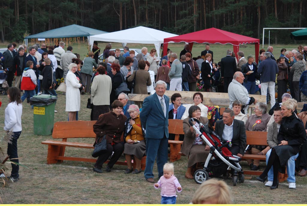Dożynki gminne - Prochowice 2008