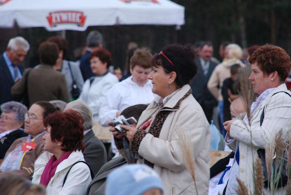 Dożynki gminne - Prochowice 2008
