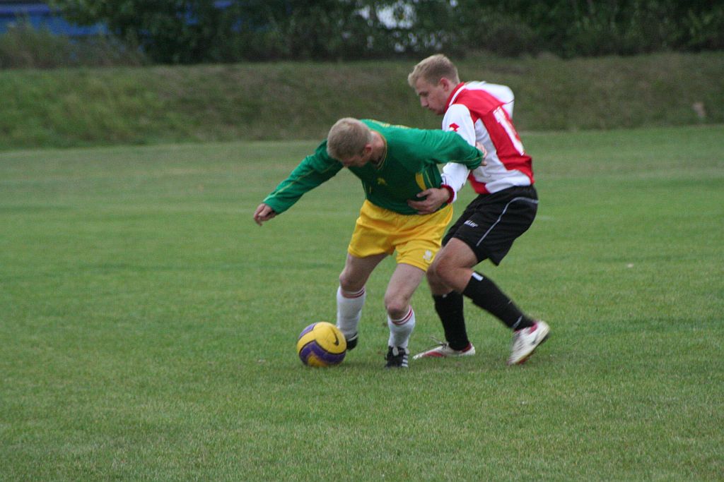 Prochowiczanka - Miedź II