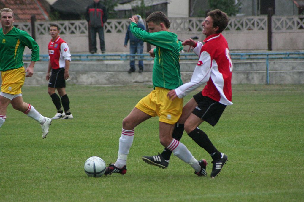 Prochowiczanka - Miedź II