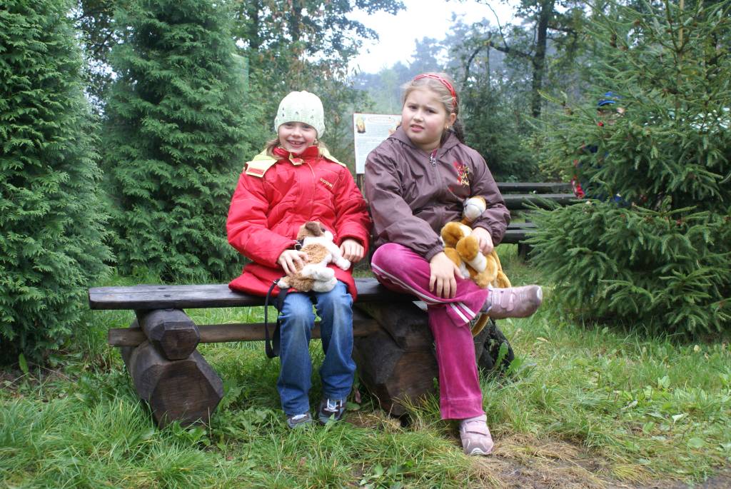 Leśna lekcja