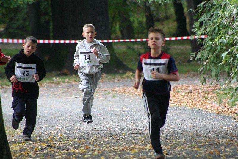 XXI Bieg Lwa Legnickiego cz.1