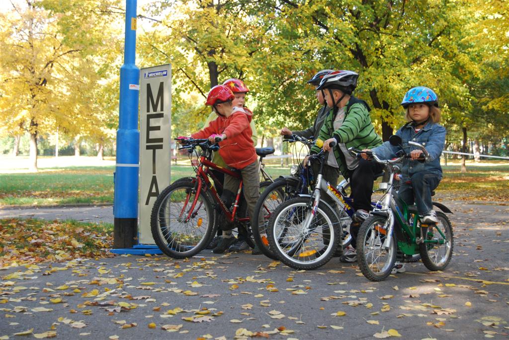 Święto sportu w parku (1)