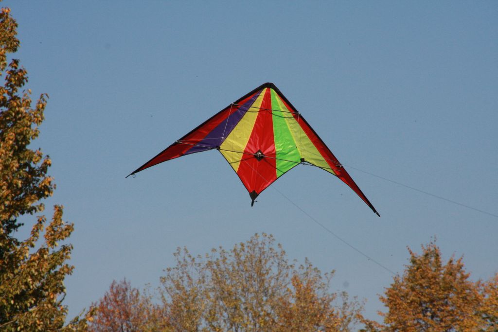 Święto sportu w parku (2)