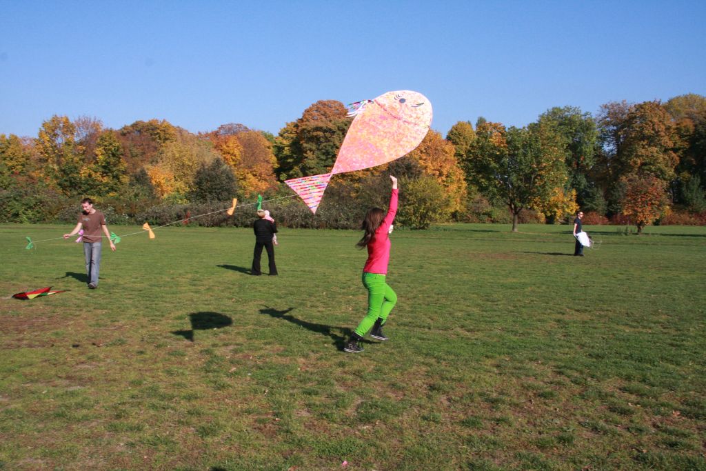 Święto sportu w parku (2)