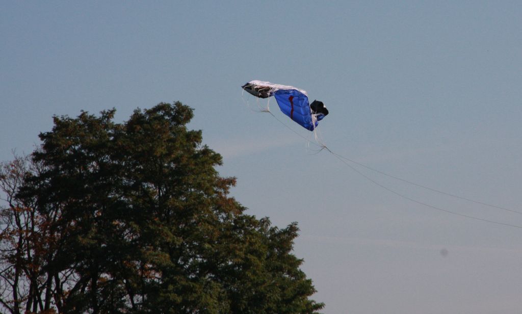 Święto sportu w parku (2)