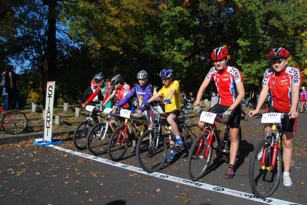 Święto sportu w parku (1)