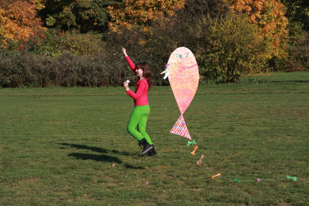 Święto sportu w parku (2)