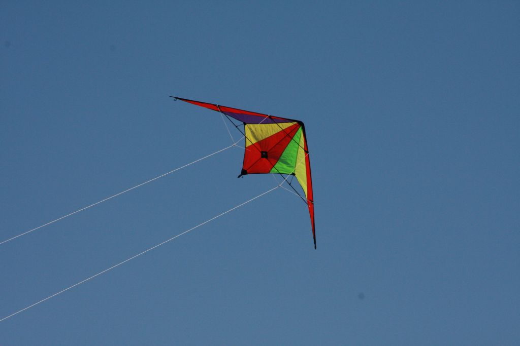 Święto sportu w parku (2)