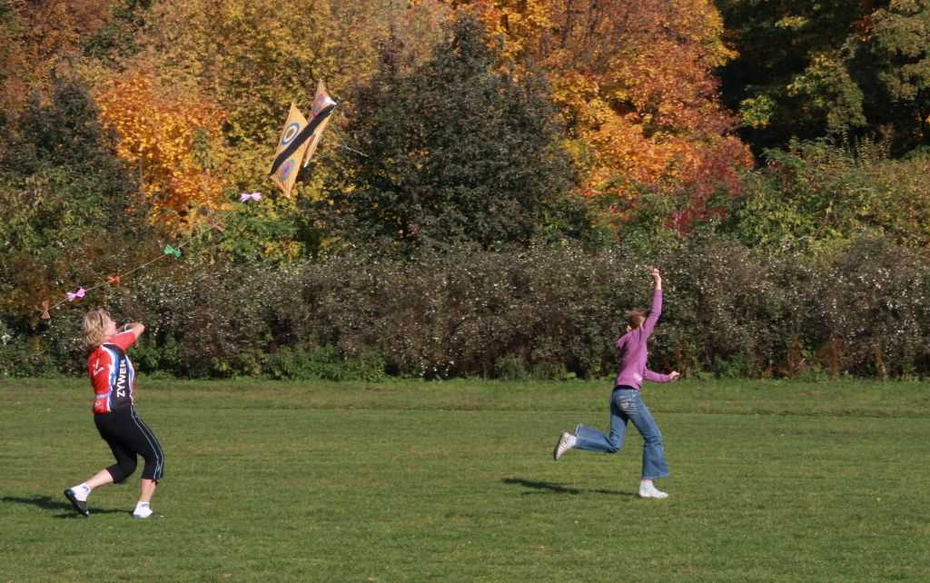 Święto sportu w parku (2)