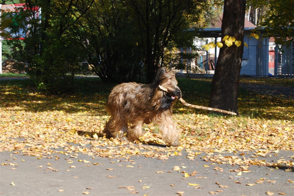 Święto sportu w parku (1)