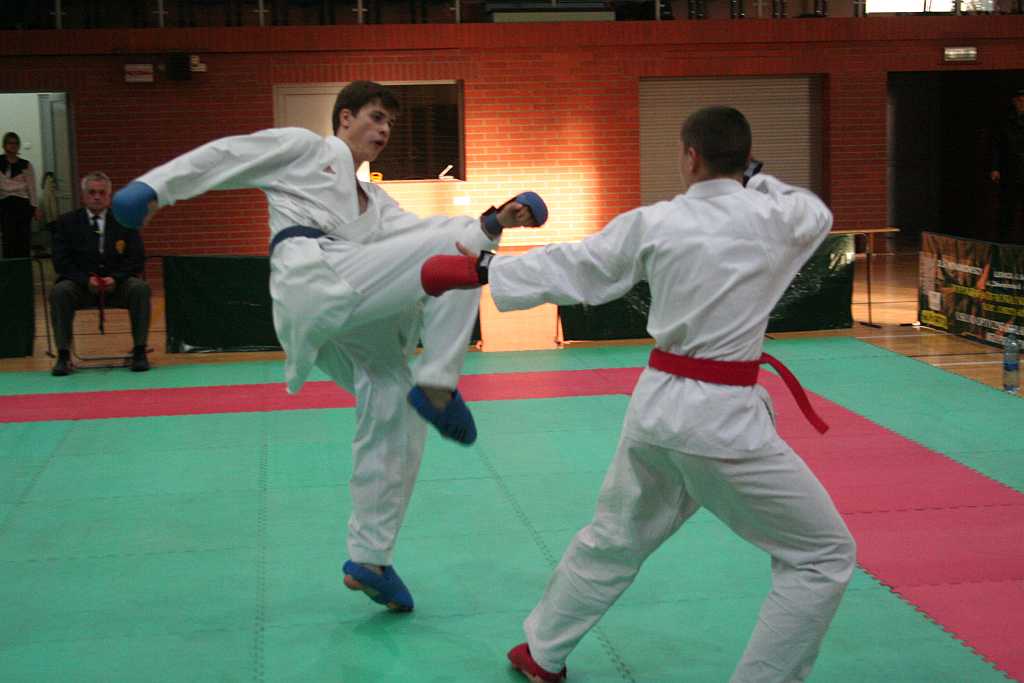 Mistrzostwa w karate - do cz.2