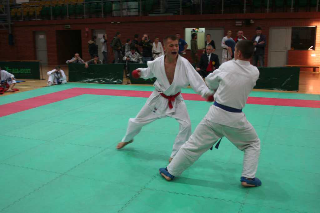 Mistrzostwa w karate - do cz.2