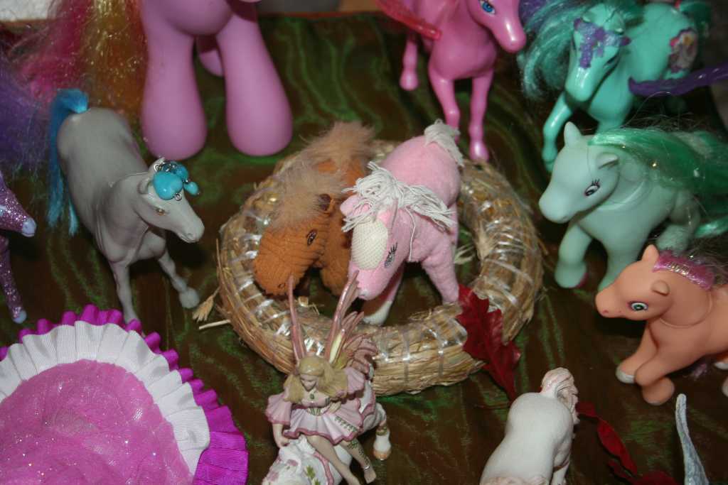 Młodzi kolekcjonerzy