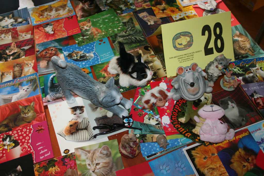 Młodzi kolekcjonerzy