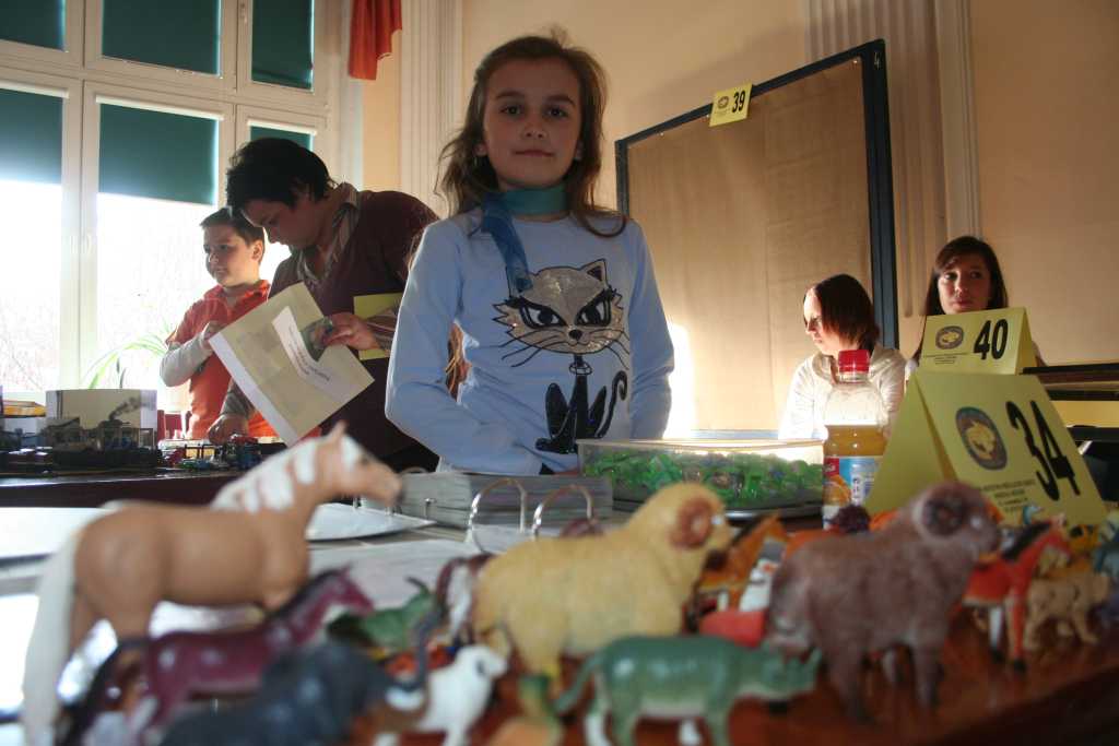 Młodzi kolekcjonerzy