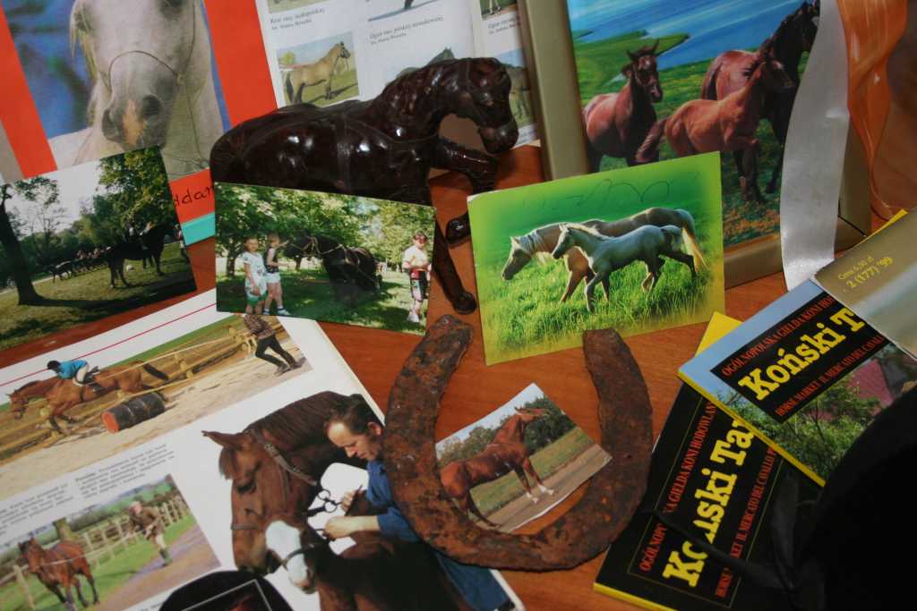 Młodzi kolekcjonerzy