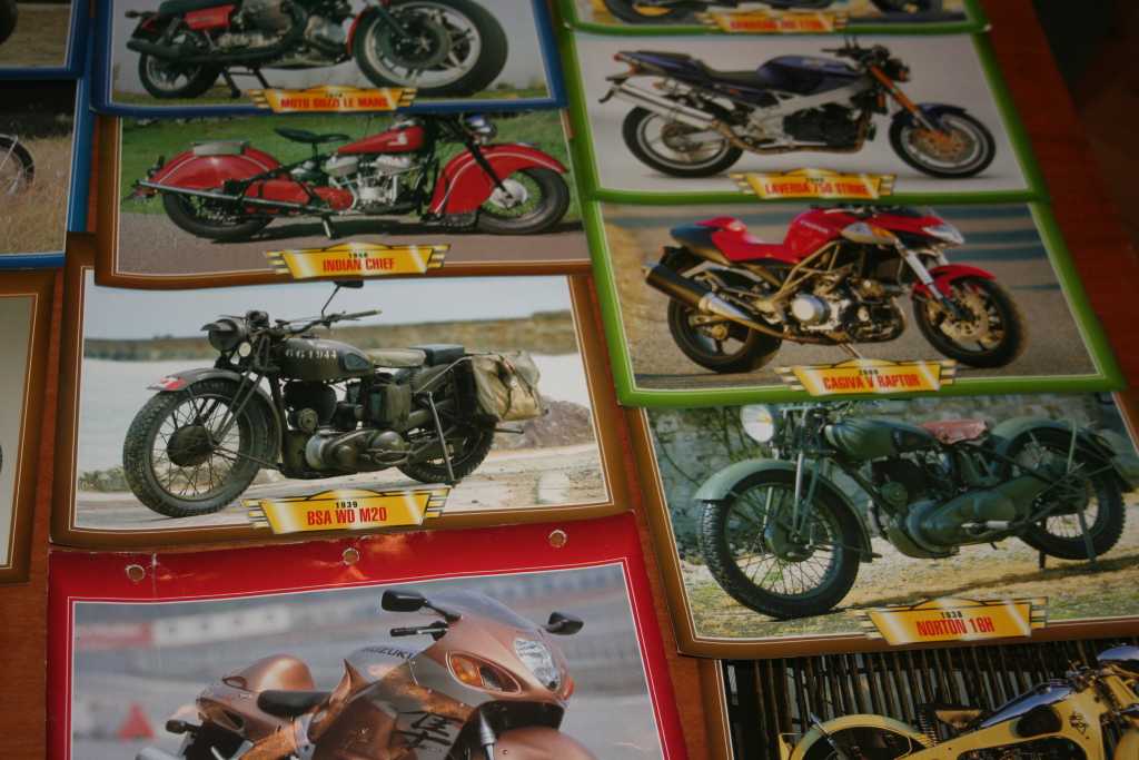 Młodzi kolekcjonerzy