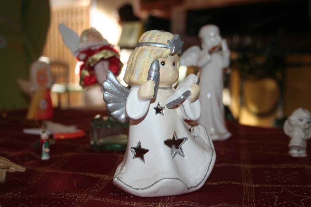 Młodzi kolekcjonerzy