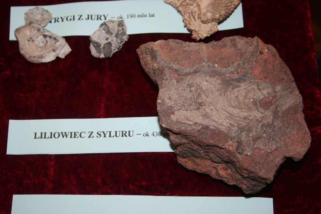 Młodzi kolekcjonerzy