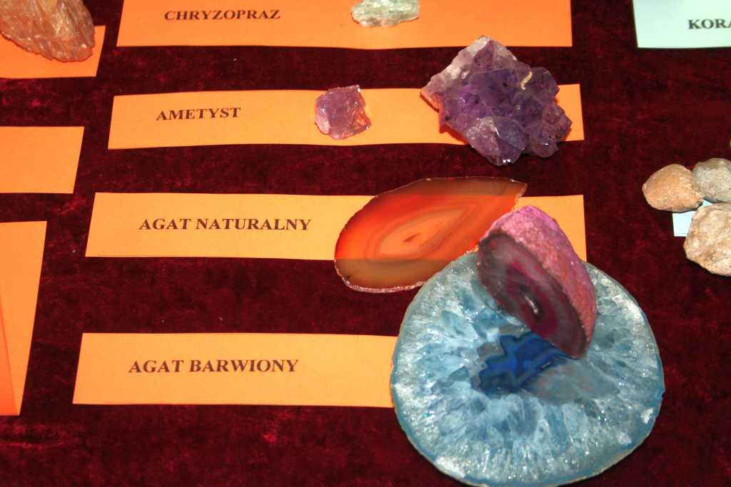 Młodzi kolekcjonerzy