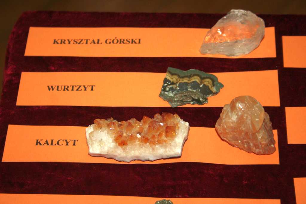 Młodzi kolekcjonerzy