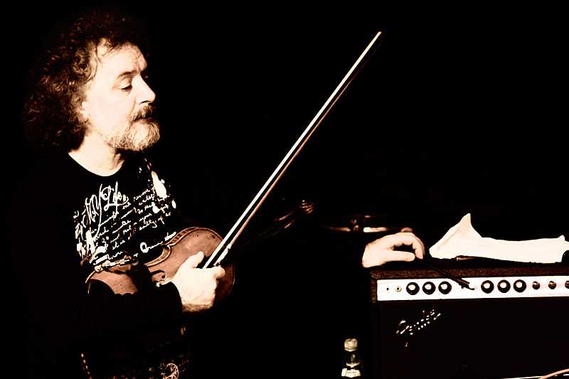 Krzak w Lubinie