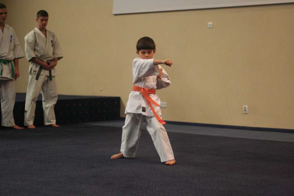 Karatecy rozpoczęli świętowanie