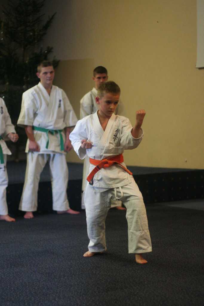 Karatecy rozpoczęli świętowanie