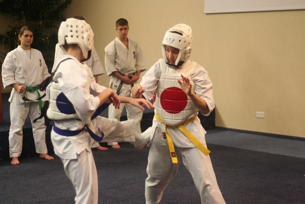 Karatecy rozpoczęli świętowanie