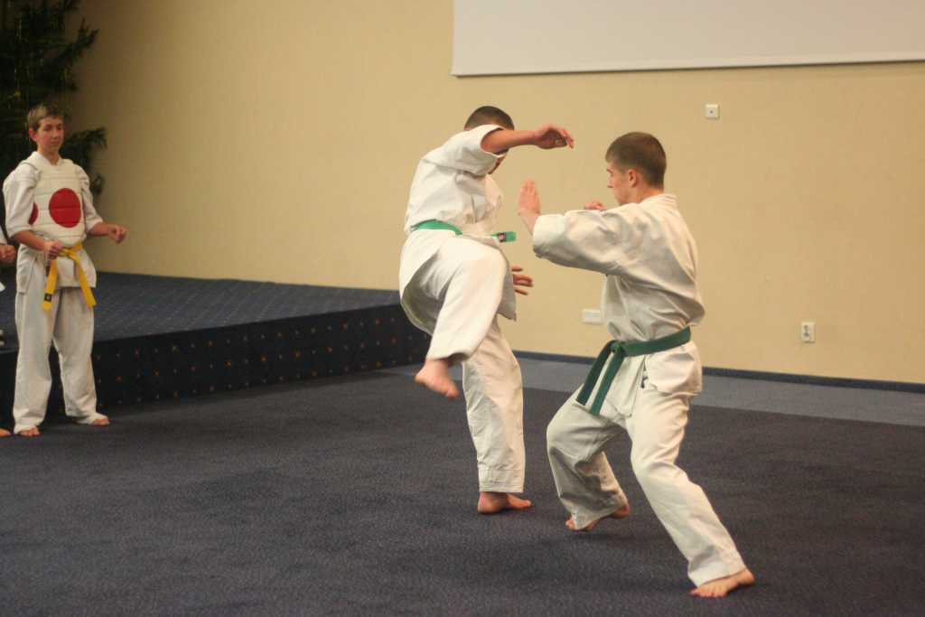 Karatecy rozpoczęli świętowanie