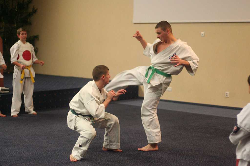 Karatecy rozpoczęli świętowanie