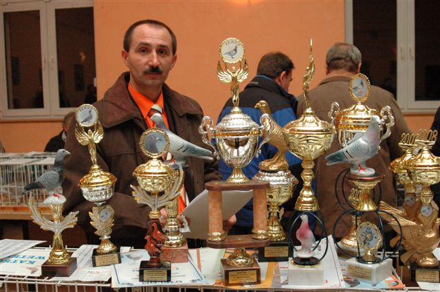 Wystawa gołębi w Prochowicach