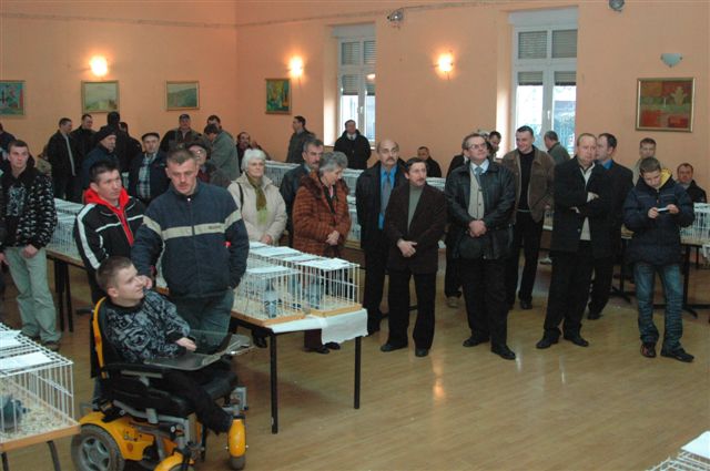 Wystawa gołębi w Prochowicach