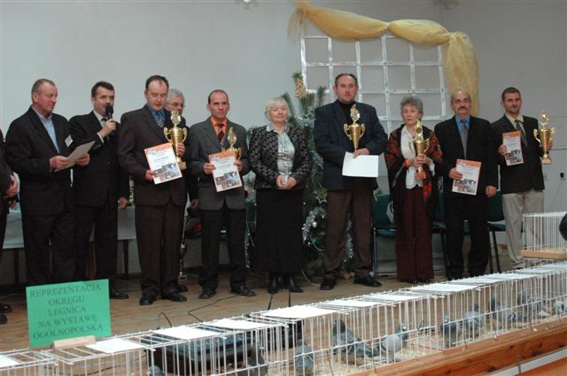 Wystawa gołębi w Prochowicach