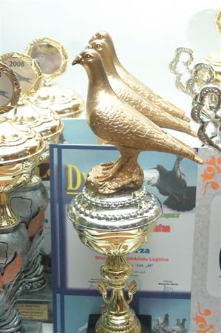 Wystawa gołębi w Prochowicach