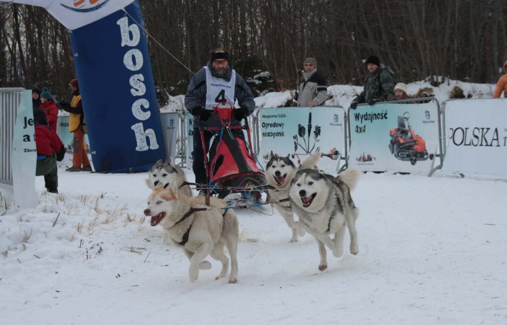 Wyścigi psich zaprzęgów