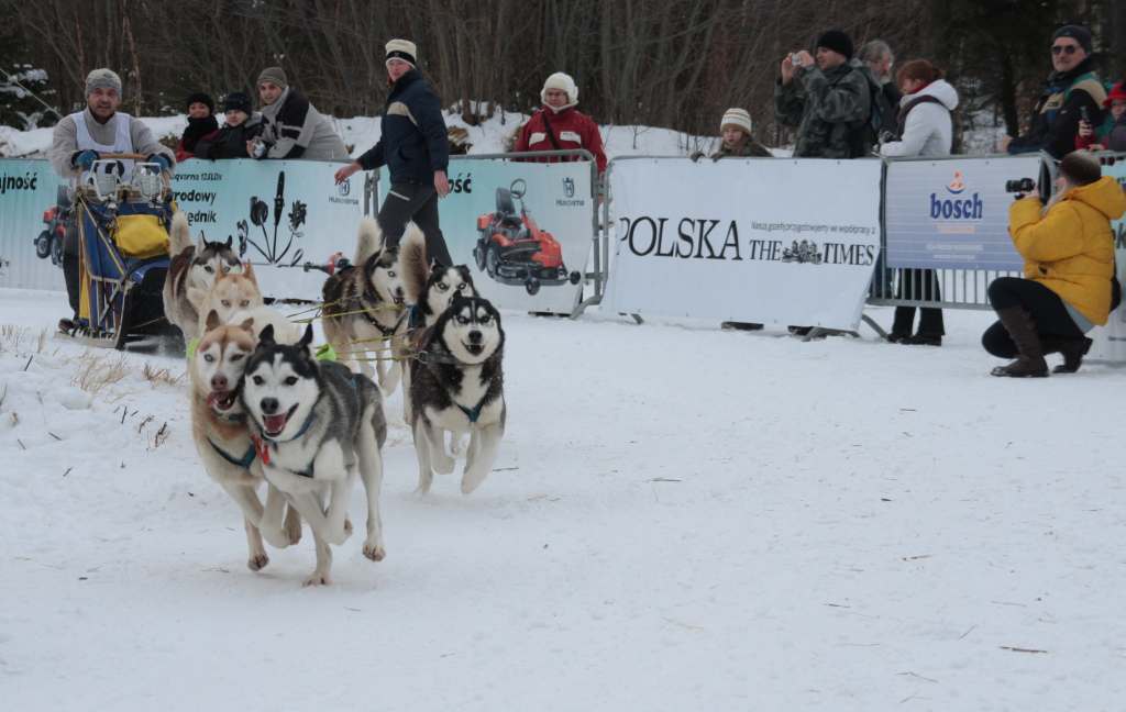 Wyścigi psich zaprzęgów