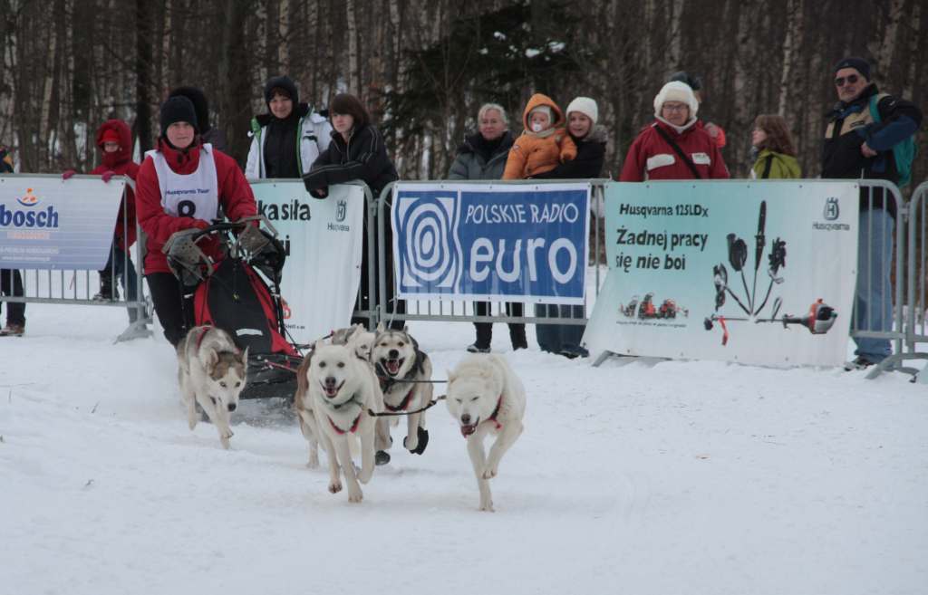 Wyścigi psich zaprzęgów