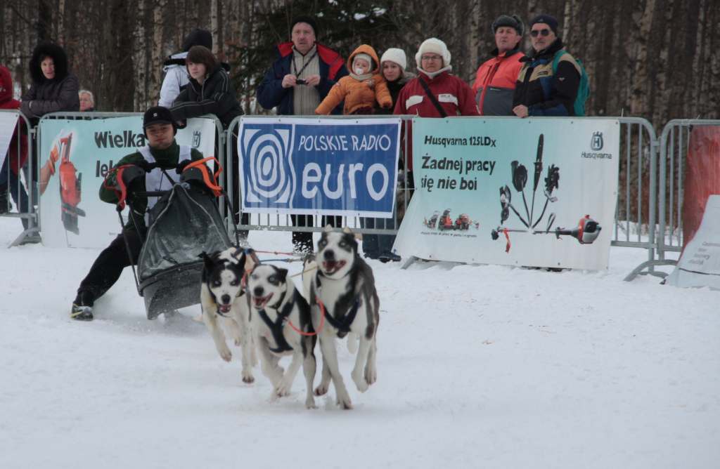 Wyścigi psich zaprzęgów