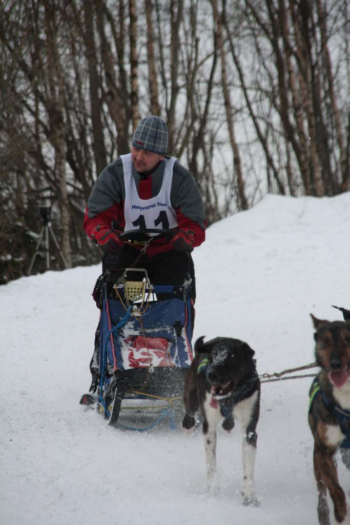 Wyścigi psich zaprzęgów